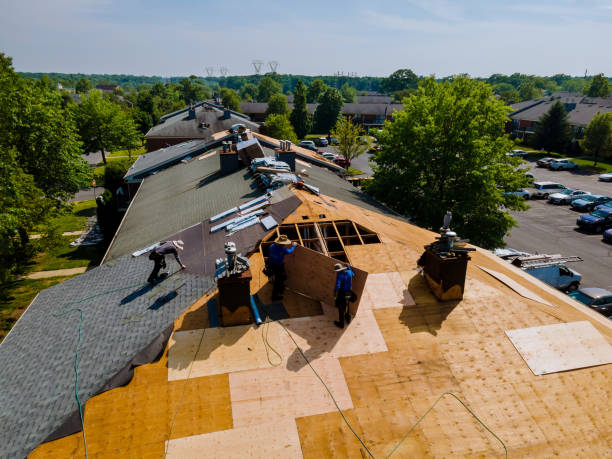 Trusted Roof Installation service in Canton, NC - Brentwood Metal Roofing